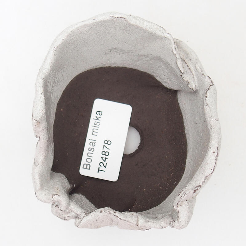 Ceramic shell 9 x 8 x 6 cm, color gray