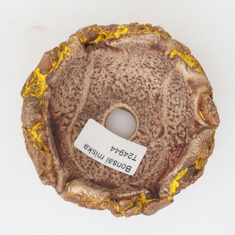 Ceramic Shell 9 x 9 x 5.5 cm, color yellow