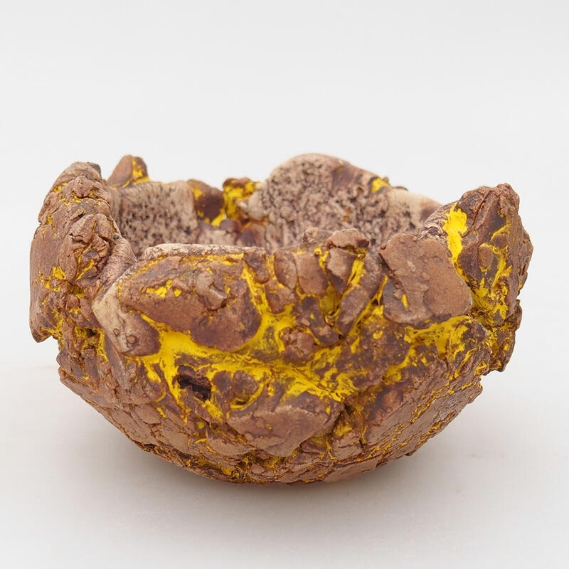 Ceramic Shell 9 x 9 x 5.5 cm, color yellow