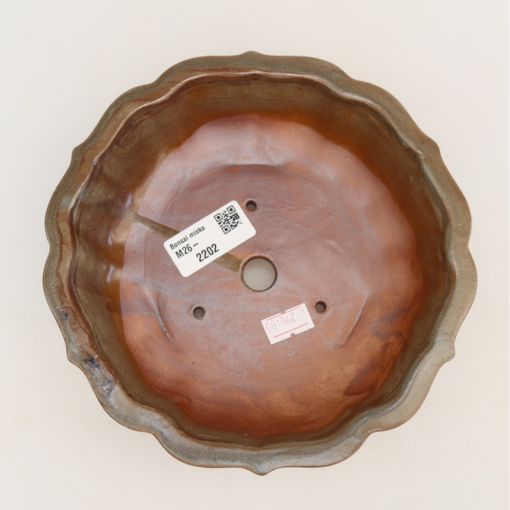 Ceramic bonsai pot, 18.5 x 18.5 x 5 cm, brown