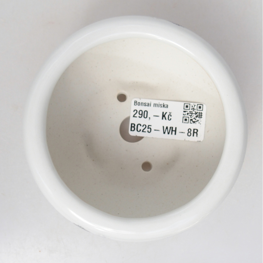 Ceramic bonsai bowl 10 x 10 x 5 cm, colour white