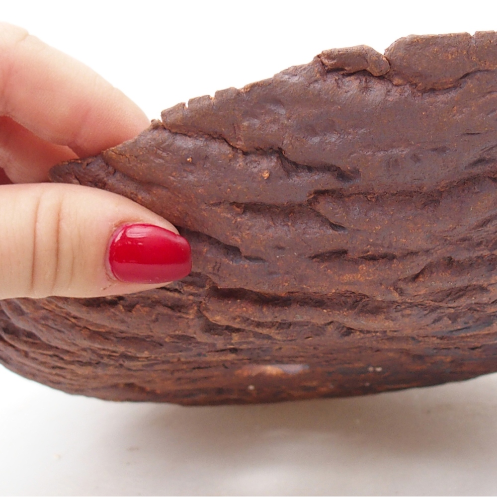 Ceramic Shell 22 x 18,5 x 6,5 cm , colour brown