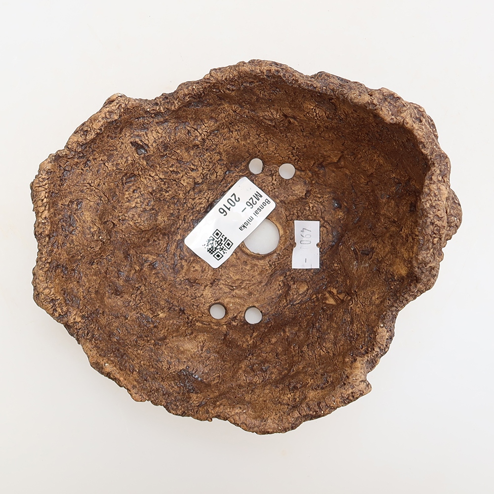 Ceramic Shell, 14.5 x 13 x 11.5 cm, brown
