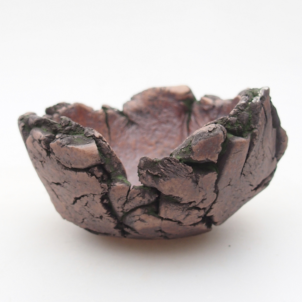 Ceramic Shell 9,5 x 9,5 x 6 cm , colour green