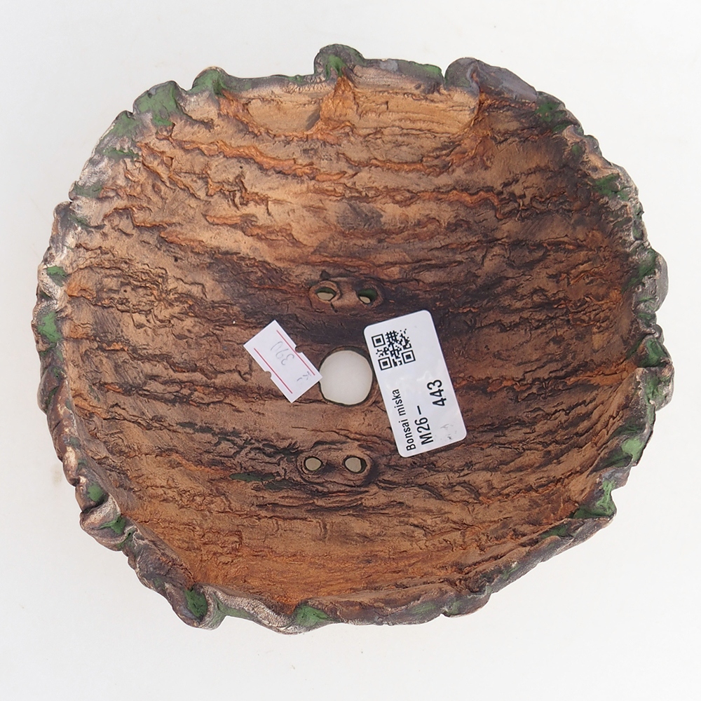 Ceramic Shell 15 x 14 x 7 cm , colour green