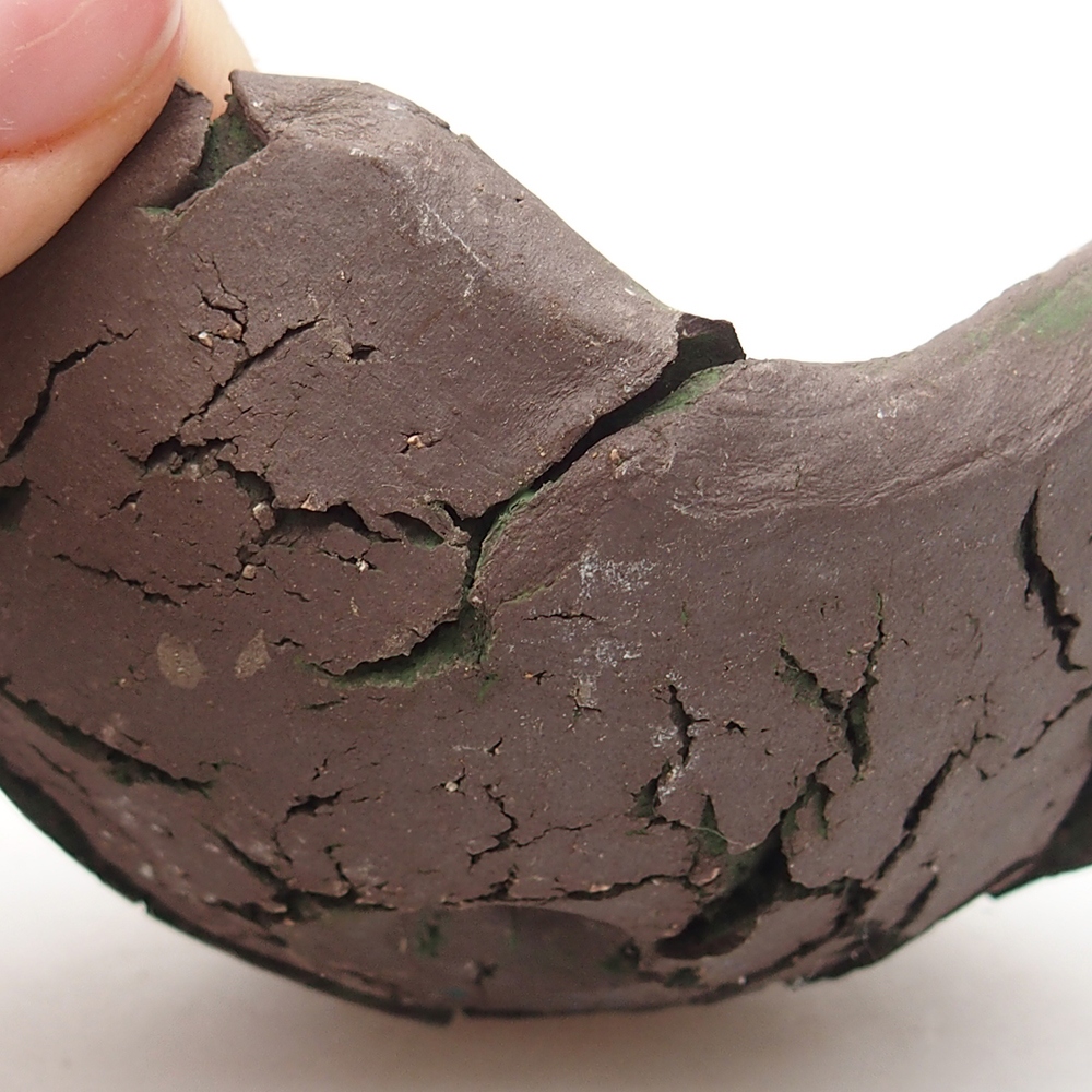 Ceramic Shell 9 x 9 x 5,5 cm , colour green