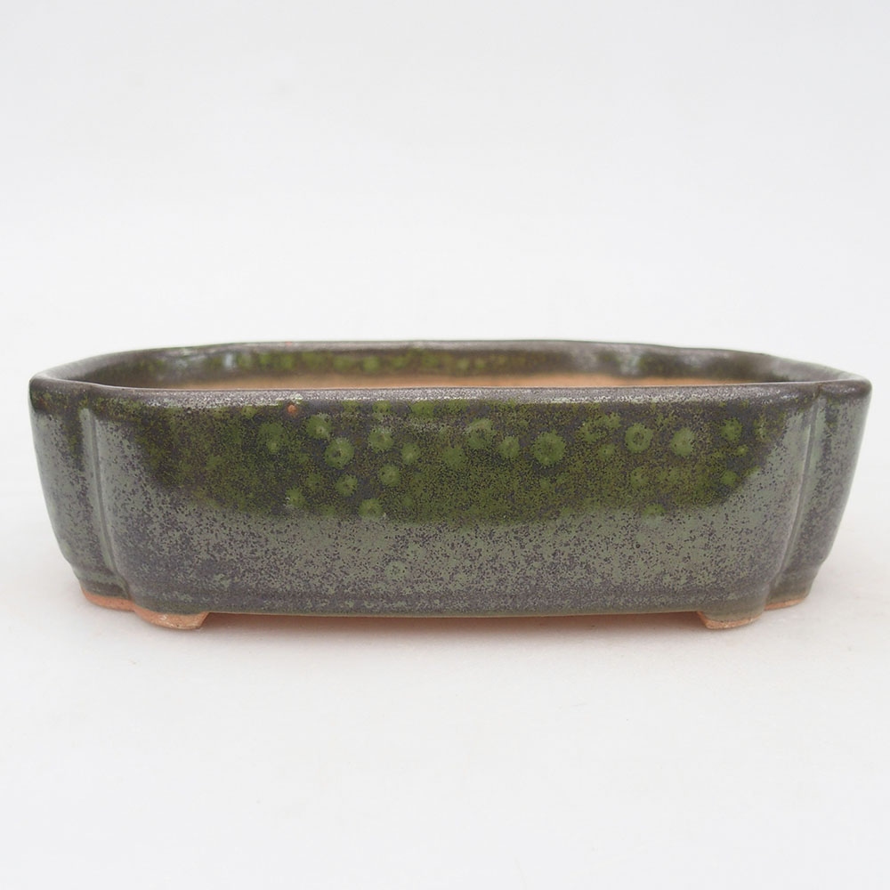 Ceramic bonsai bowl 16 x 11,5 x 4,5 cm, green