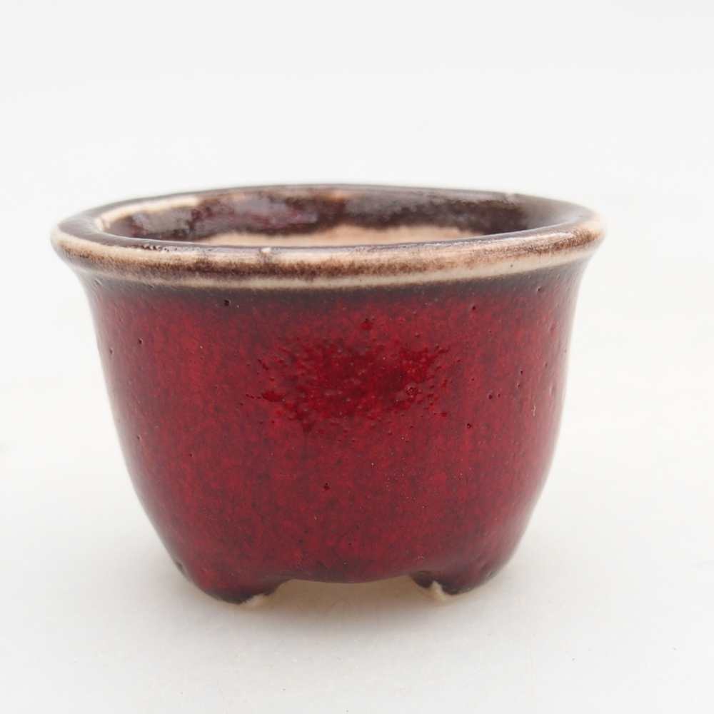 Mini bonsai bowl 4 x 4 x 2,5 cm, colour red