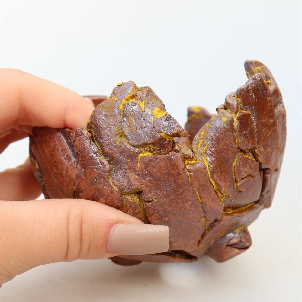 Ceramic Shell, 11 x 10 x 7 cm, yellow