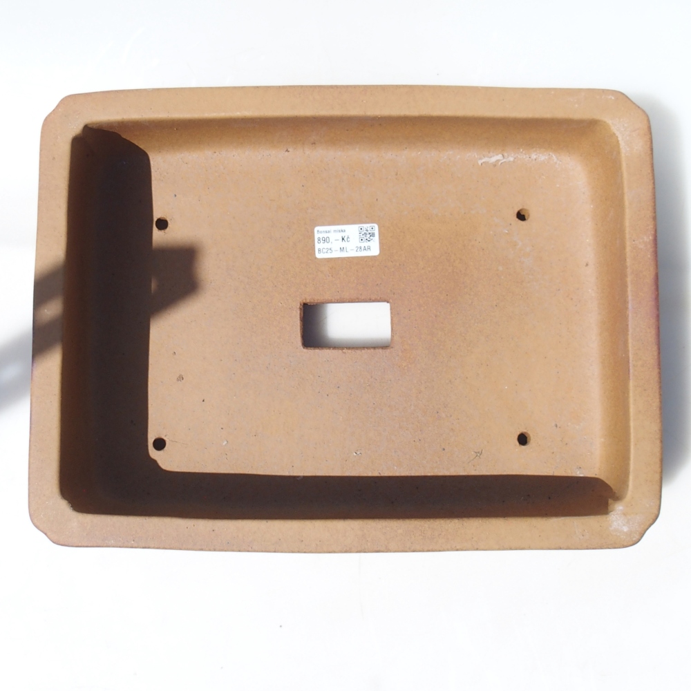 Bowl 35 x 26 x 9 cm
