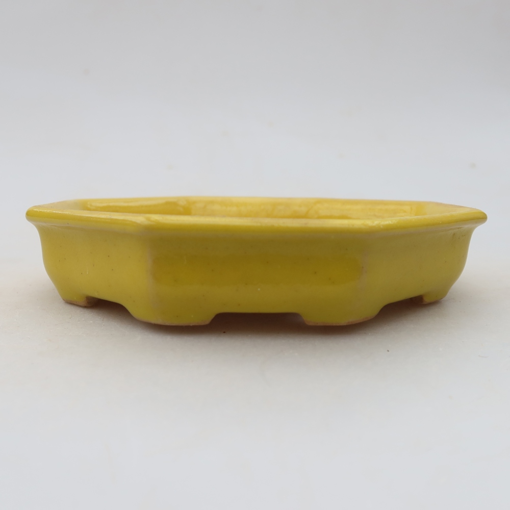 Ceramic bonsai pot, 11.5 x 11.5 x 2.5 cm, yellow