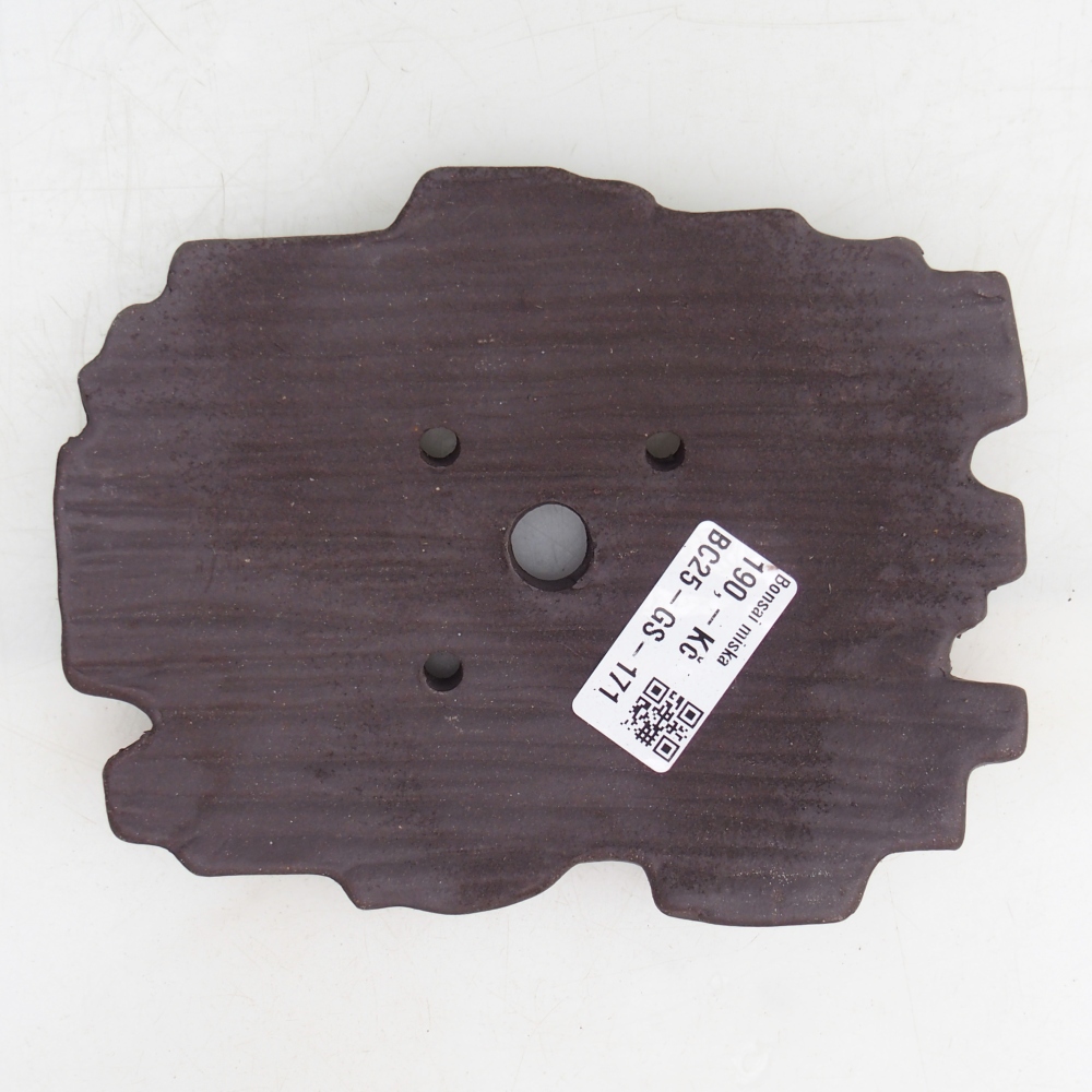 Ceramic shell 16 x 12 x 3 cm , colour brown