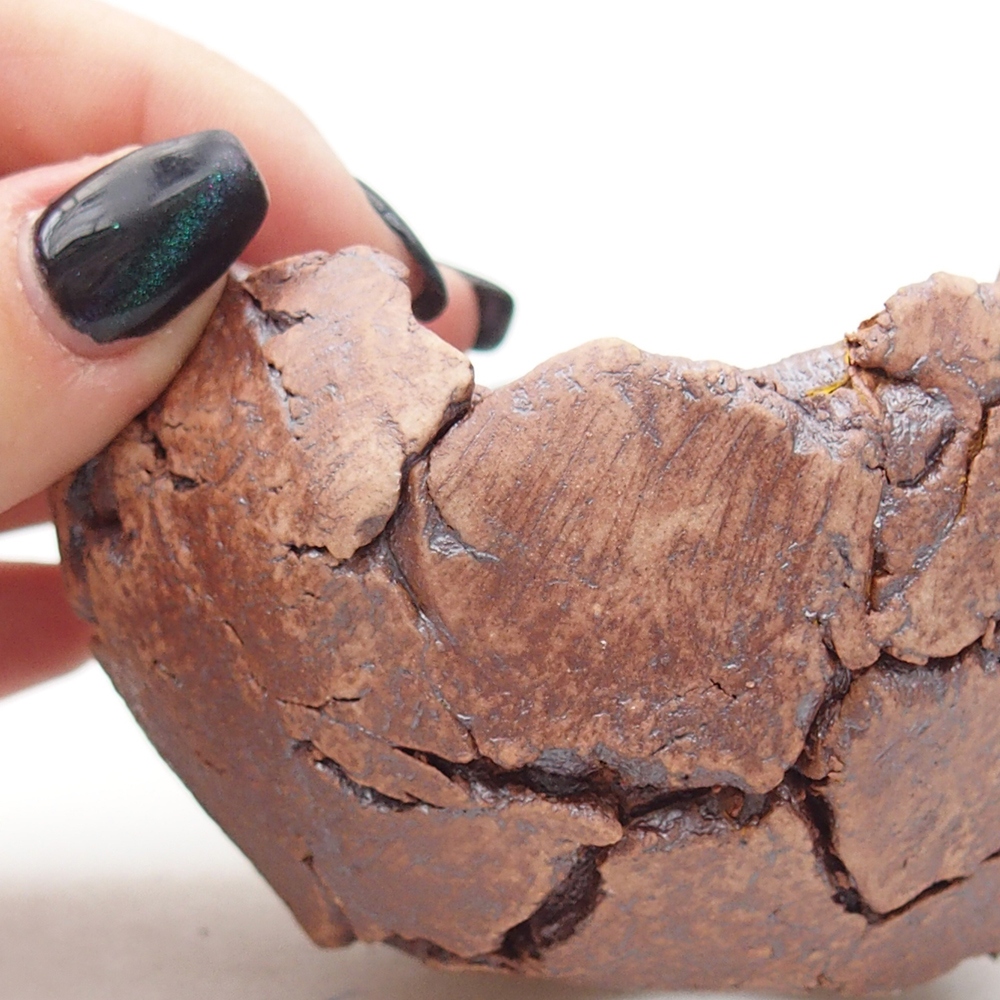 Ceramic Shell 9 x 9 x 5,5 cm , colour brown