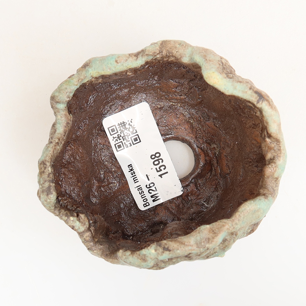 Ceramic Shell, 7 x 6 x 6 cm, green