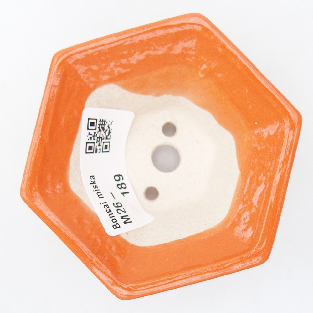Mini bonsai bowl 8 x 7 x 3,5 cm, orange