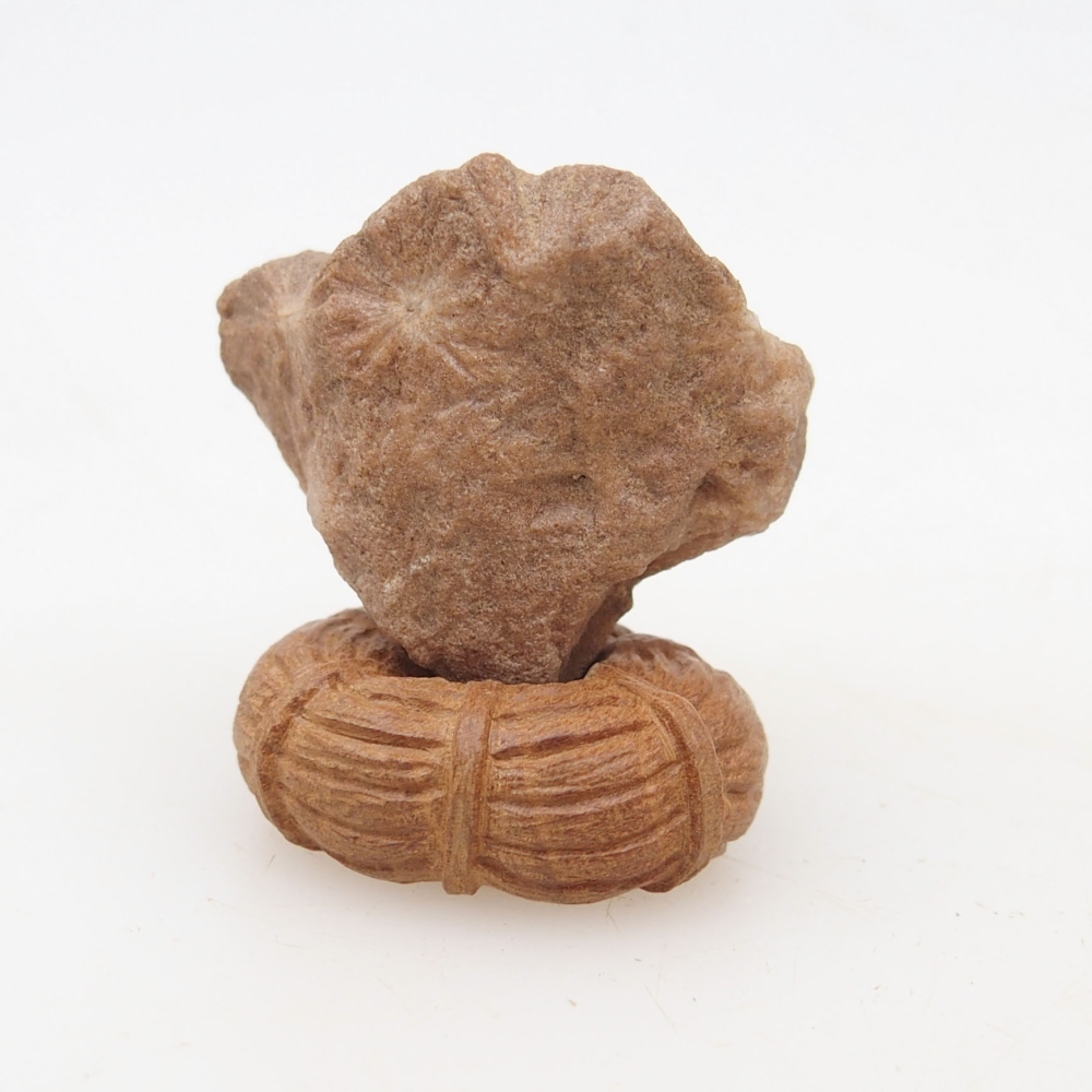 Suiseki - Stone with DAI (wooden pad)