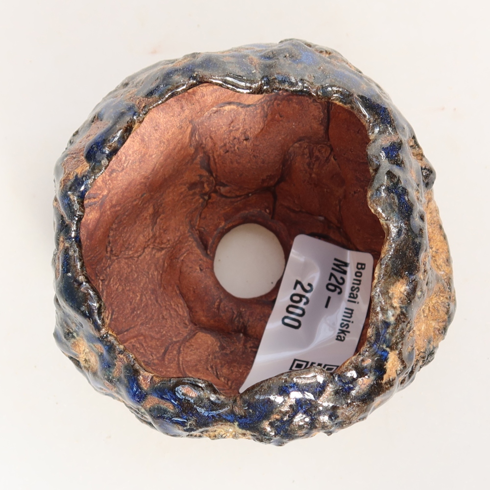 Ceramic Shell, 7 x 7 x 5.5 cm, blue-brown