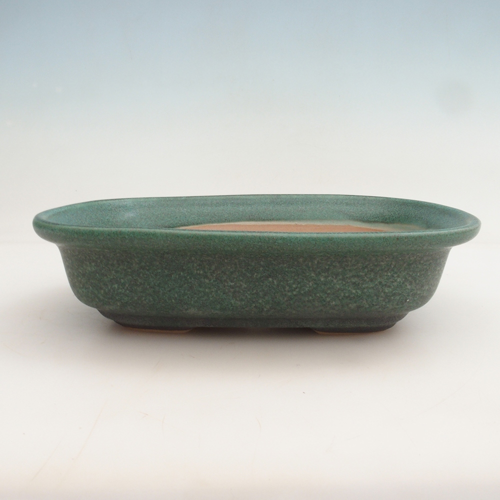 Bonsai bowl H25 - 23 x 17 x 5.5 cm. - green