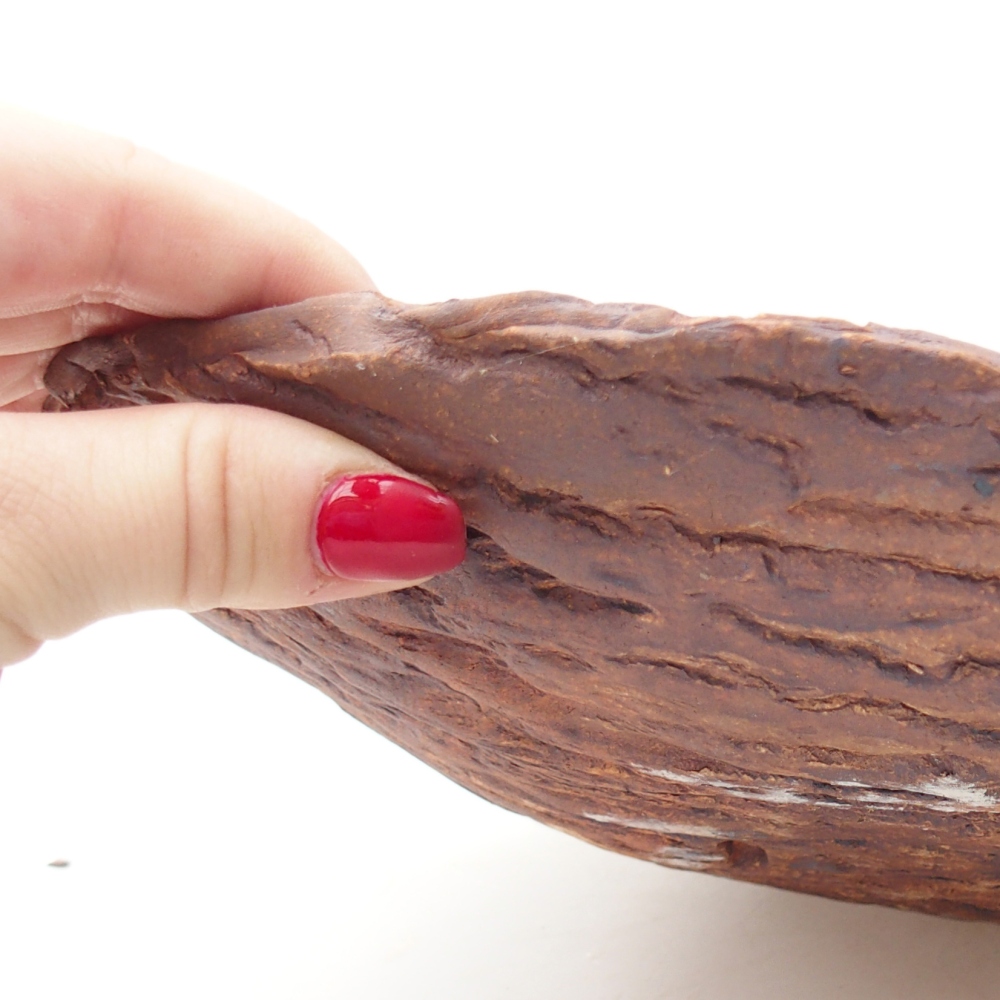 Ceramic shell 28 x 20 x 5 cm , colour brown