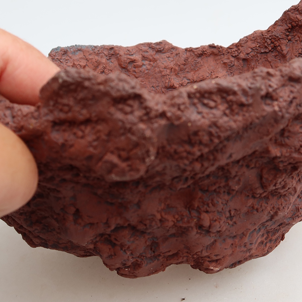 Ceramic Shell, 20 x 17 x 12.5 cm, brown