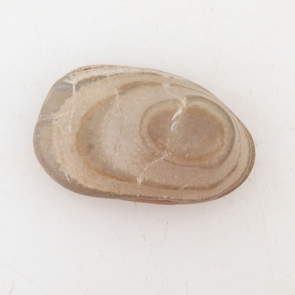 Suiseki - Stone with DAI (wooden pad)