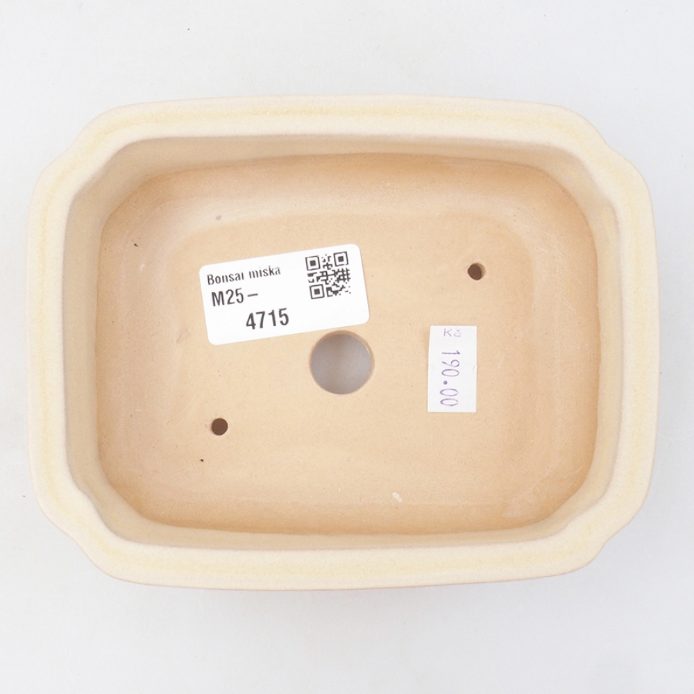 Ceramic bonsai bowl 14 x 11 x 4 cm, color beige