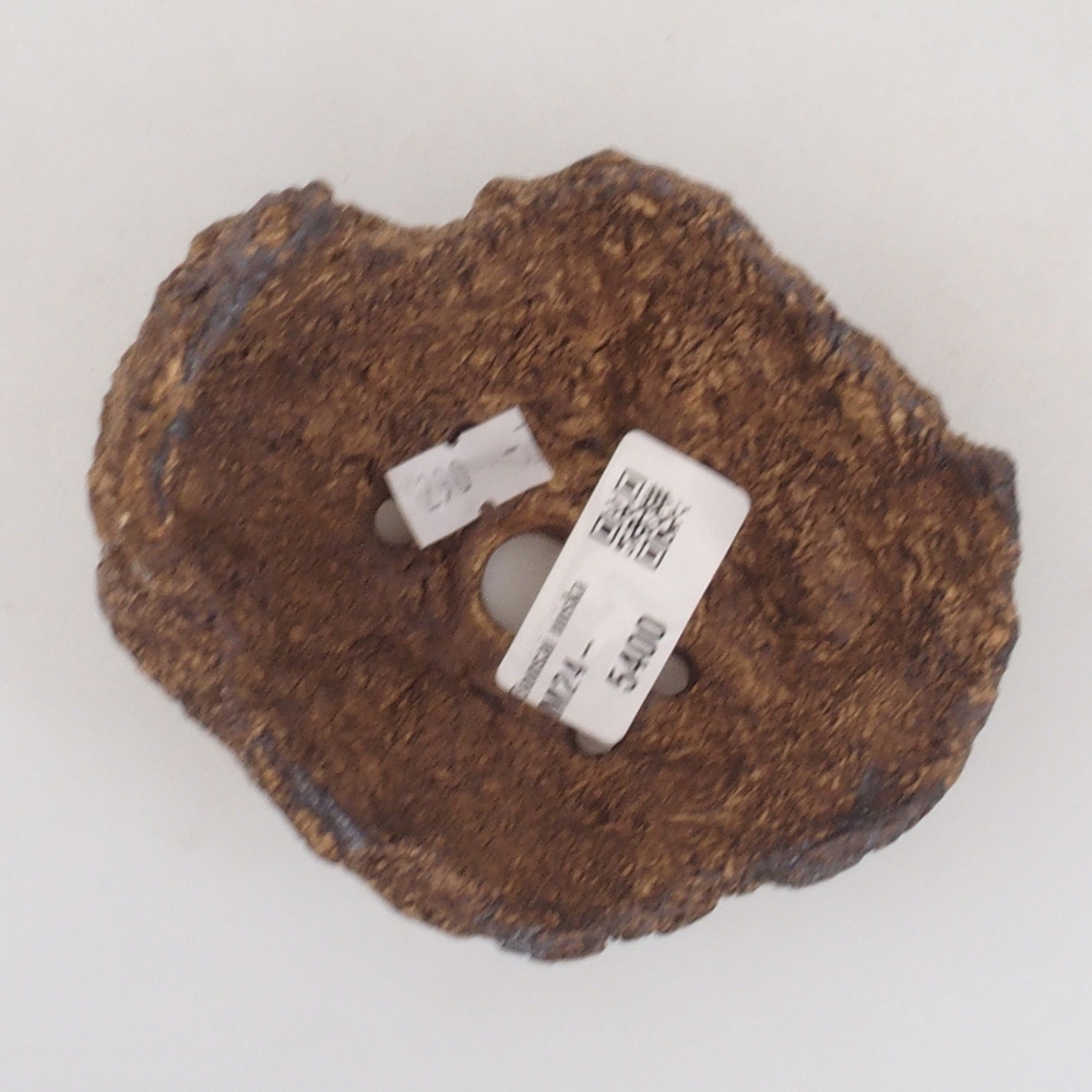 Ceramic shell 9,5 x 8 x 10 cm, brown color