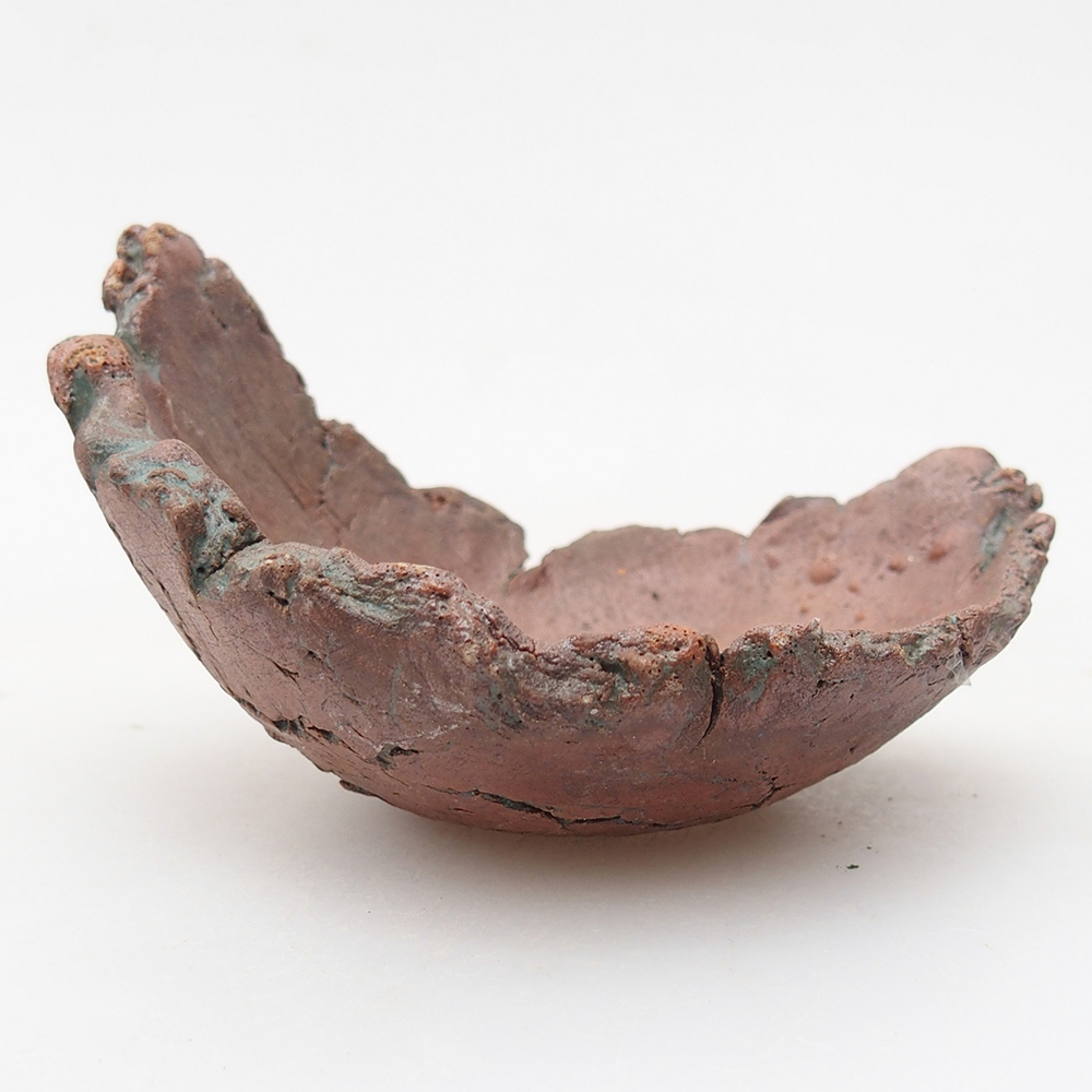 Ceramic shell 10 x 8 x 6 cm , colour green