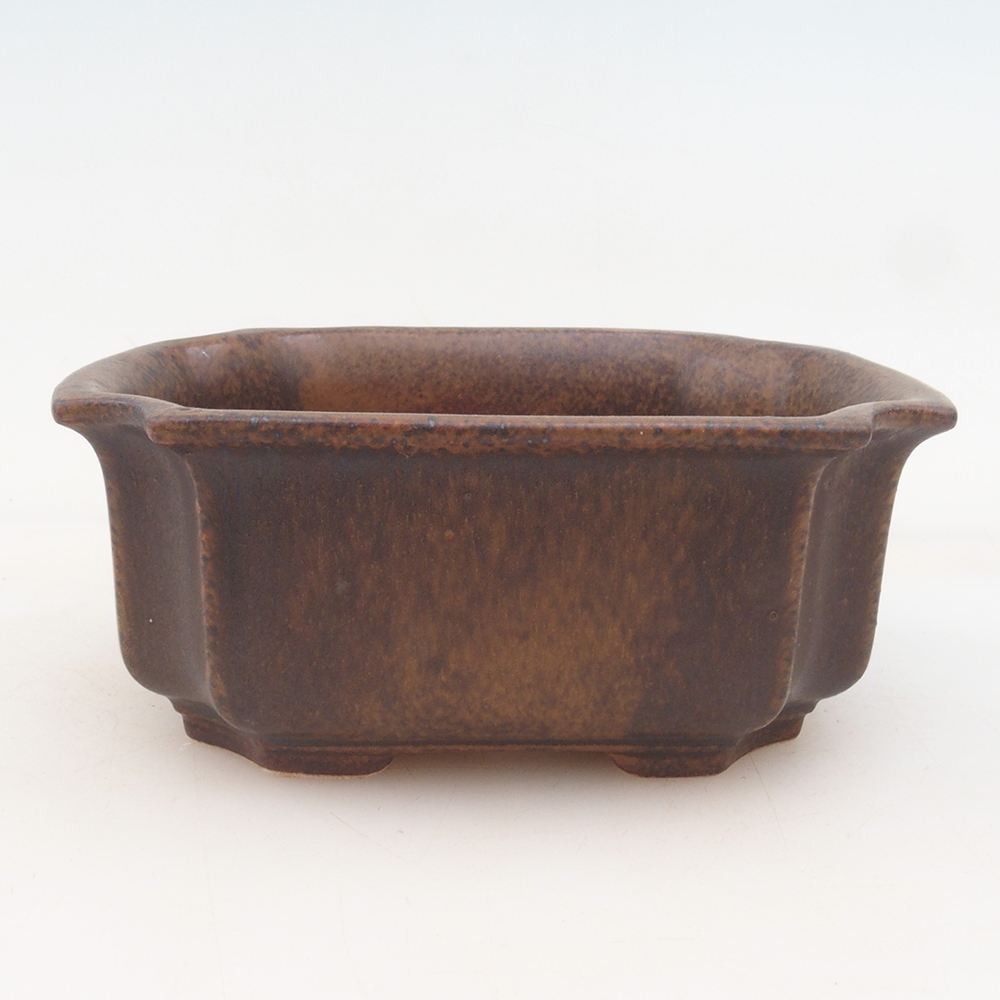 Bonsai bowl + saucer H01 - brown
