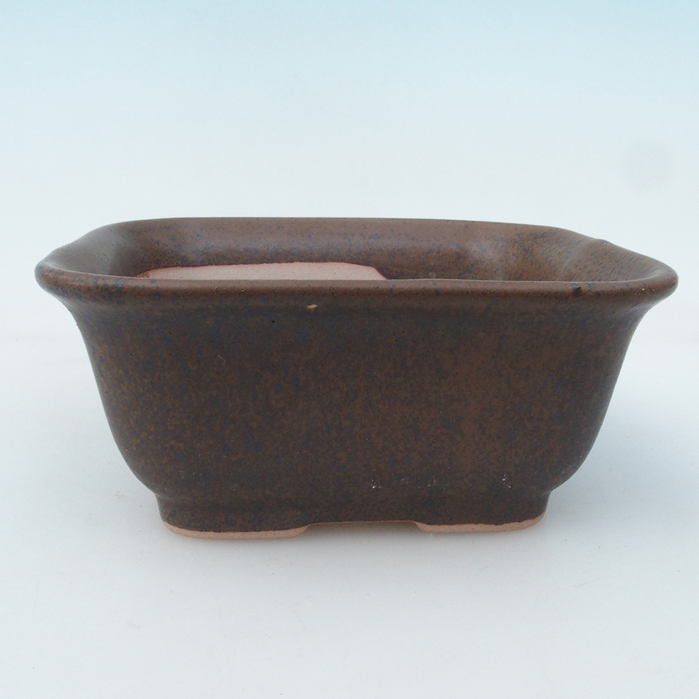 Bonsai pot + saucer H38 - 12x10x5.5 cm. - brown