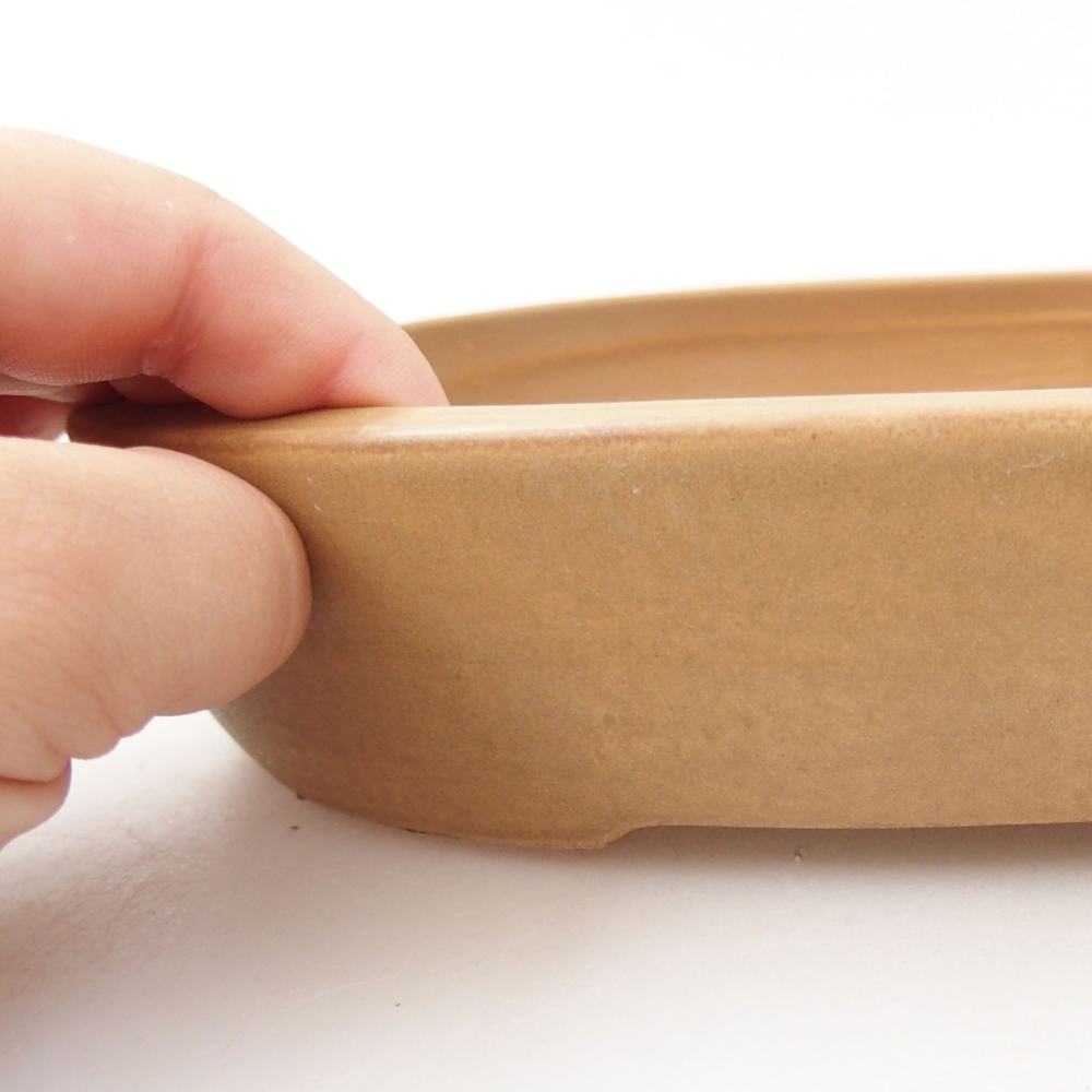 Ceramic bonsai bowl 22 x 16,5 x 4 cm, color beige