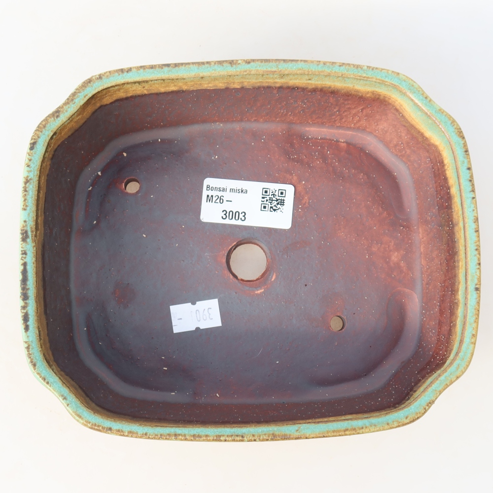 Ceramic bonsai pot, 17.5 x 14.5 x 5 cm, green