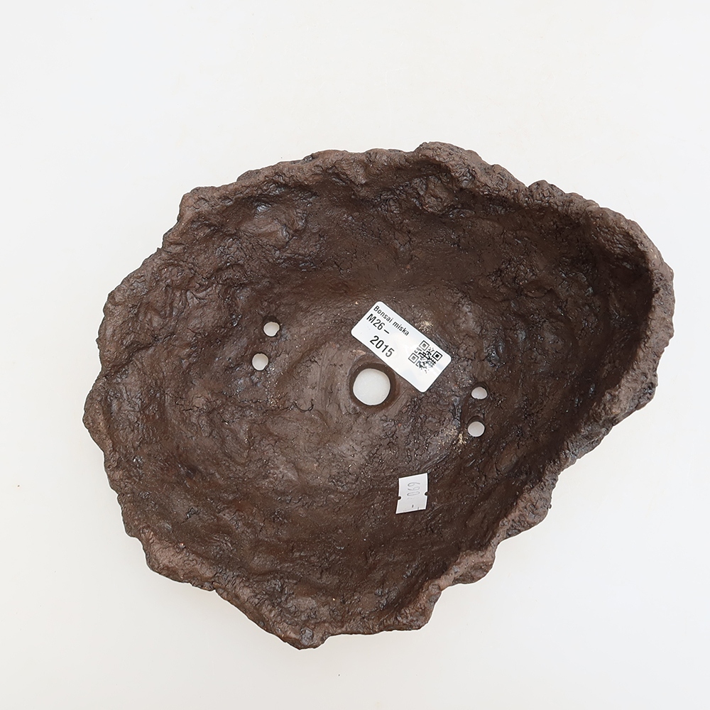 Ceramic Shell, 18.5 x 16.5 x 13 cm, brown