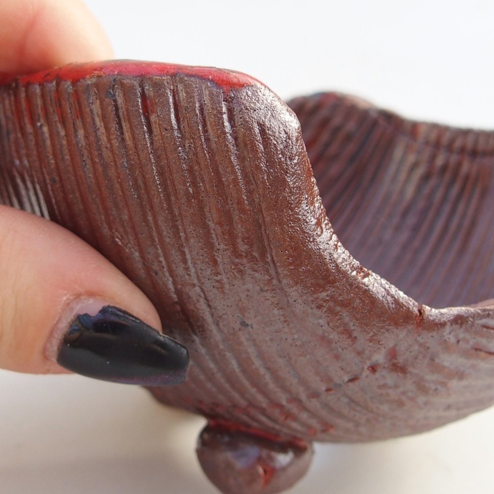 Ceramic Shell 10 x 10 x 6 cm , colour brown