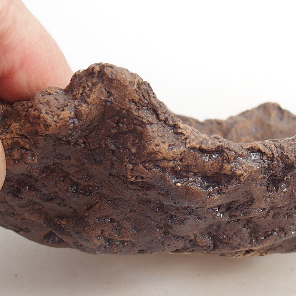 Ceramic shell 19 x 15 x 14 cm , colour brown