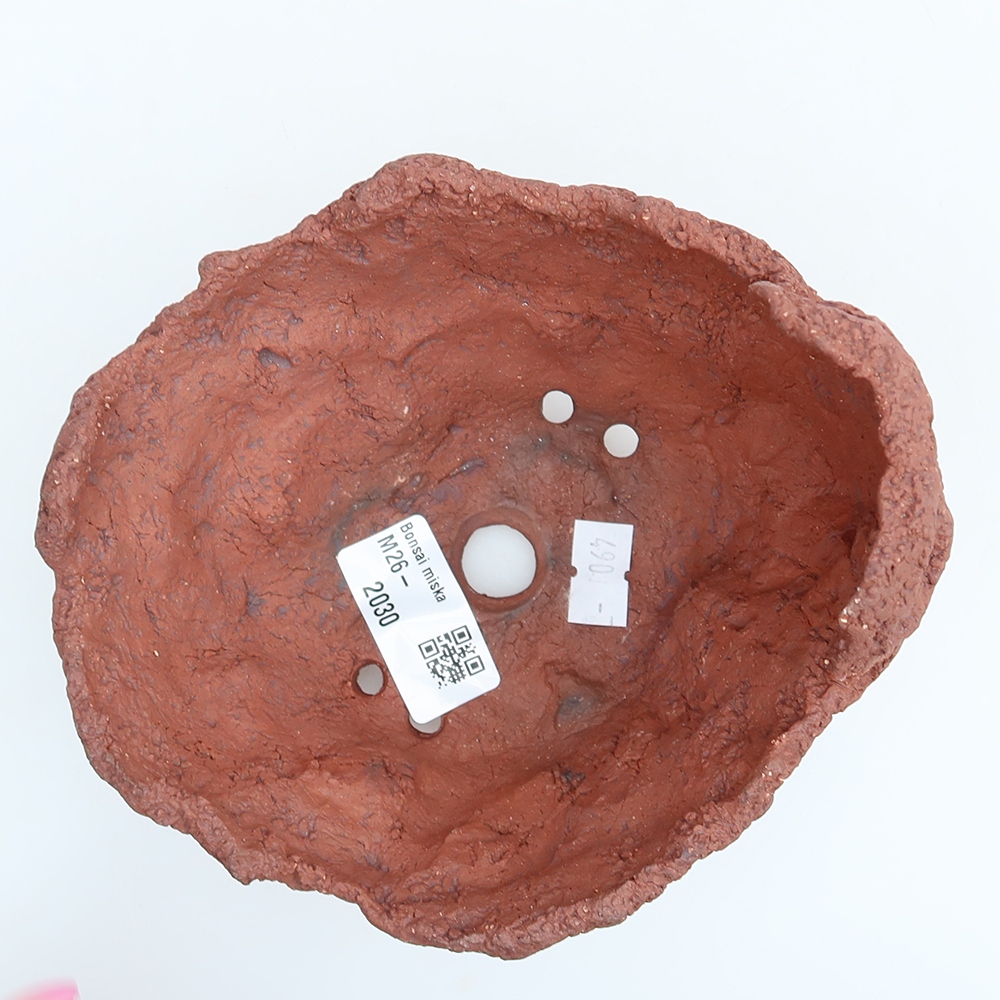 Ceramic Shell, 14 x 13 x 11.5 cm, brown