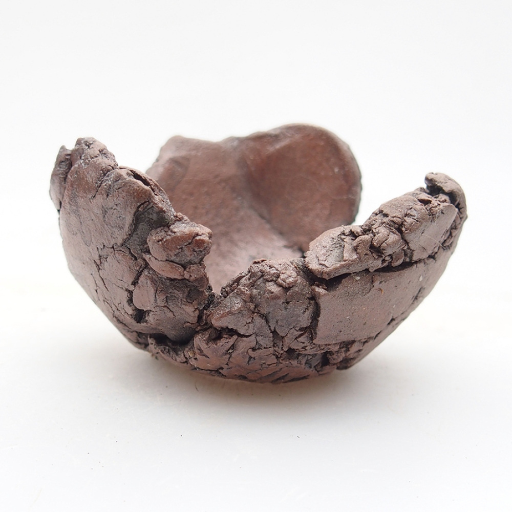 Ceramic shell 6 x 6 x 4 cm, color brown