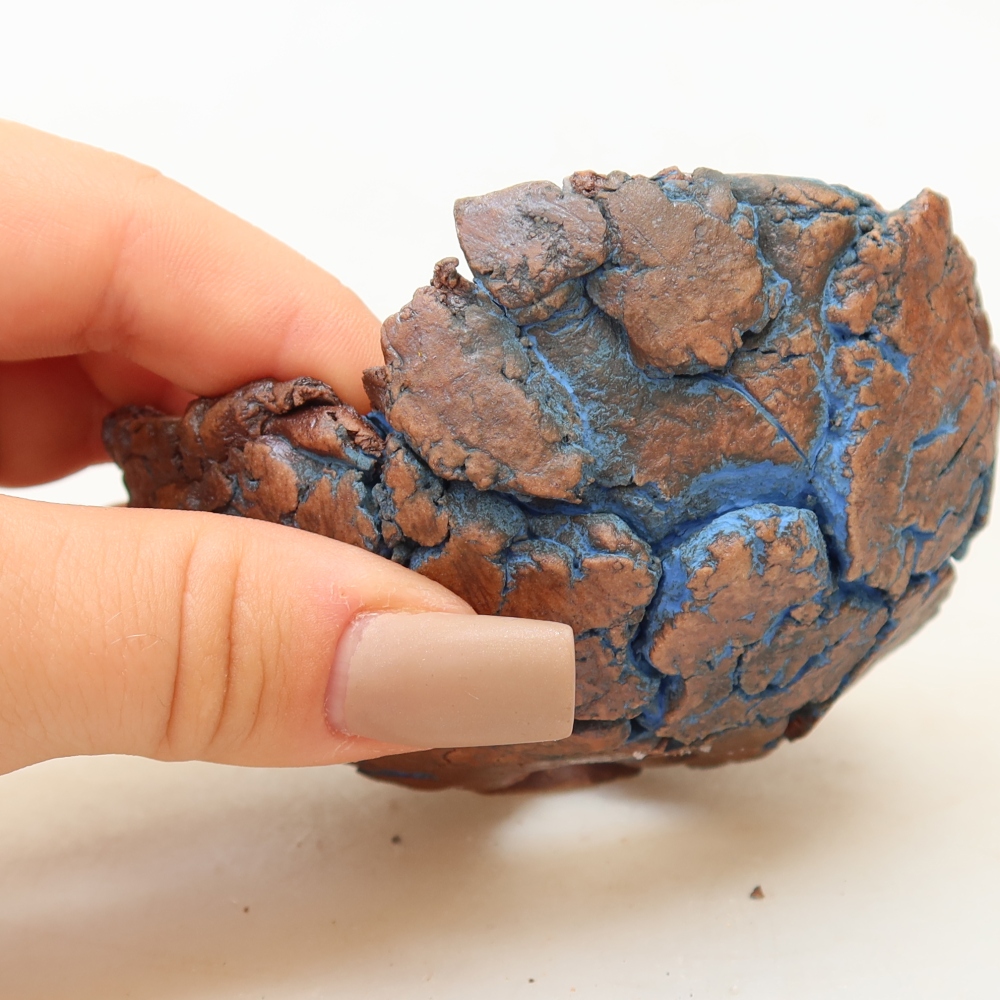 Ceramic Shell, 9 x 9 x 4 cm, blue