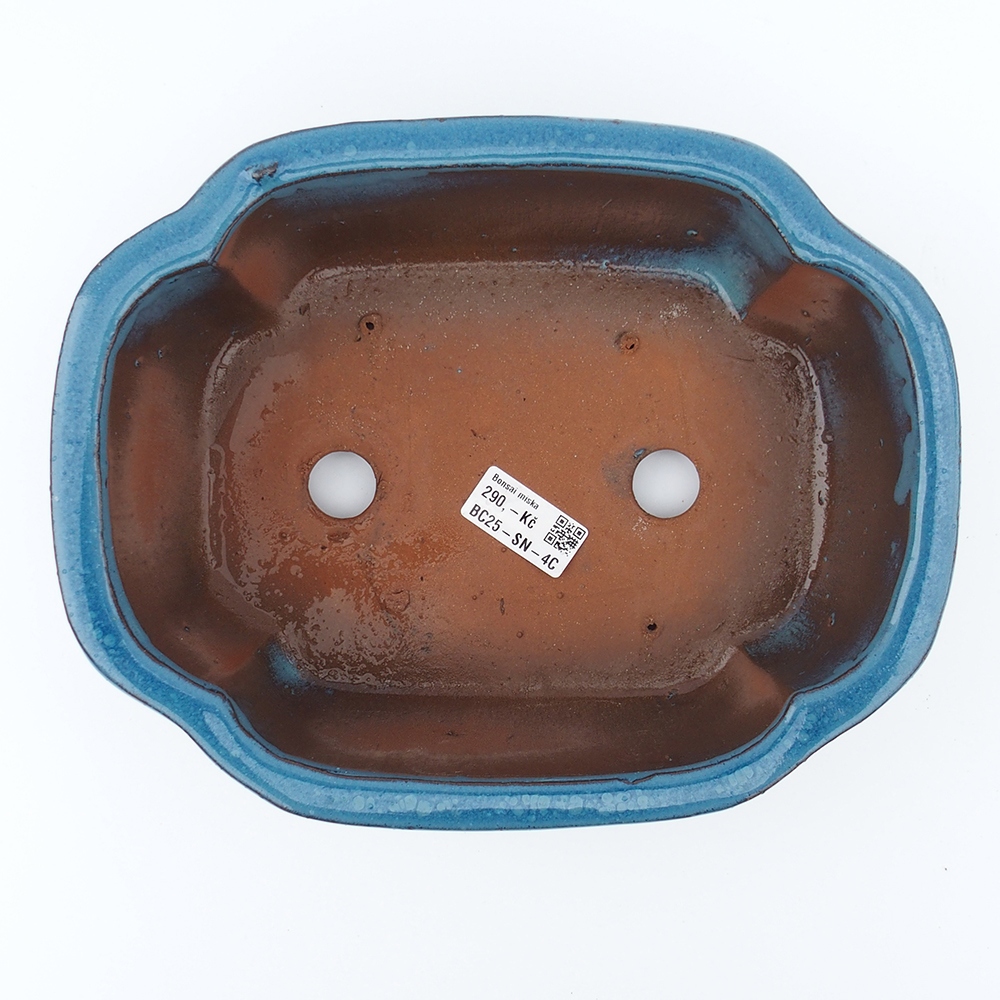 Bowl 26 x 20 x 8,5 cm blue
