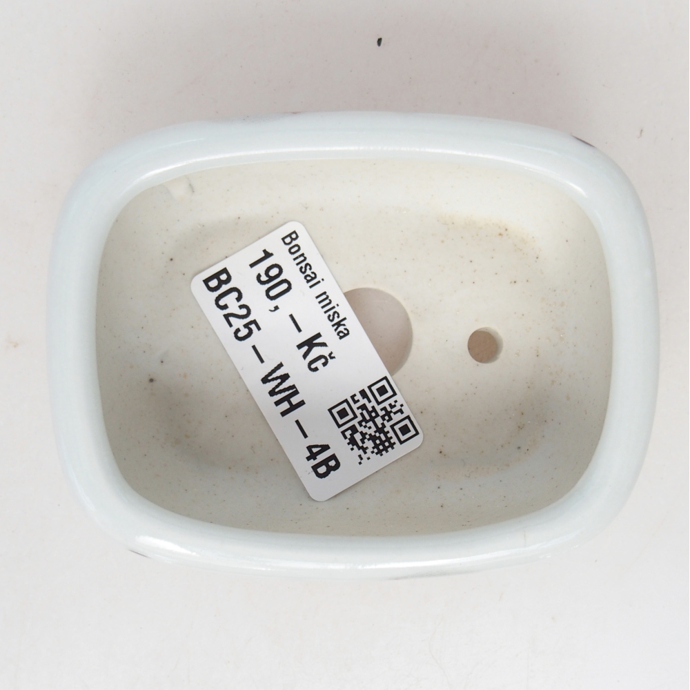 Mini bonsai bowl 8 x 6 x 3 cm, white