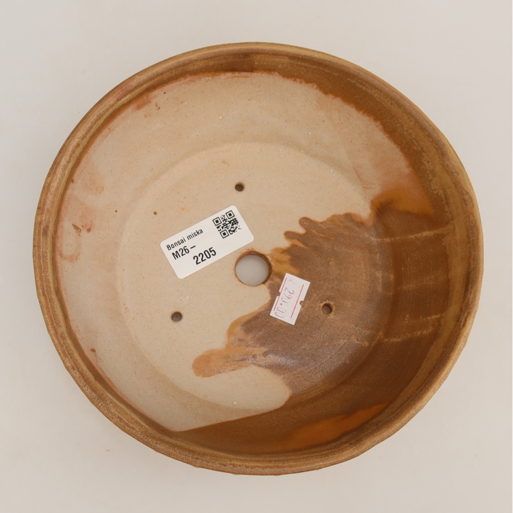 Ceramic bonsai pot, 17.5 x 17.5 x 5.5 cm, beige