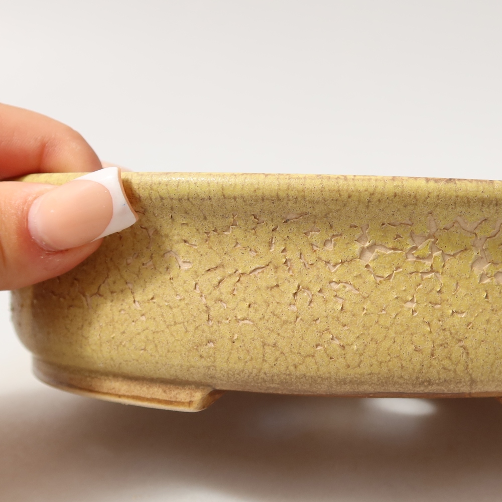 Ceramic bonsai pot, 18 x 16.5 x 4.5 cm, yellow