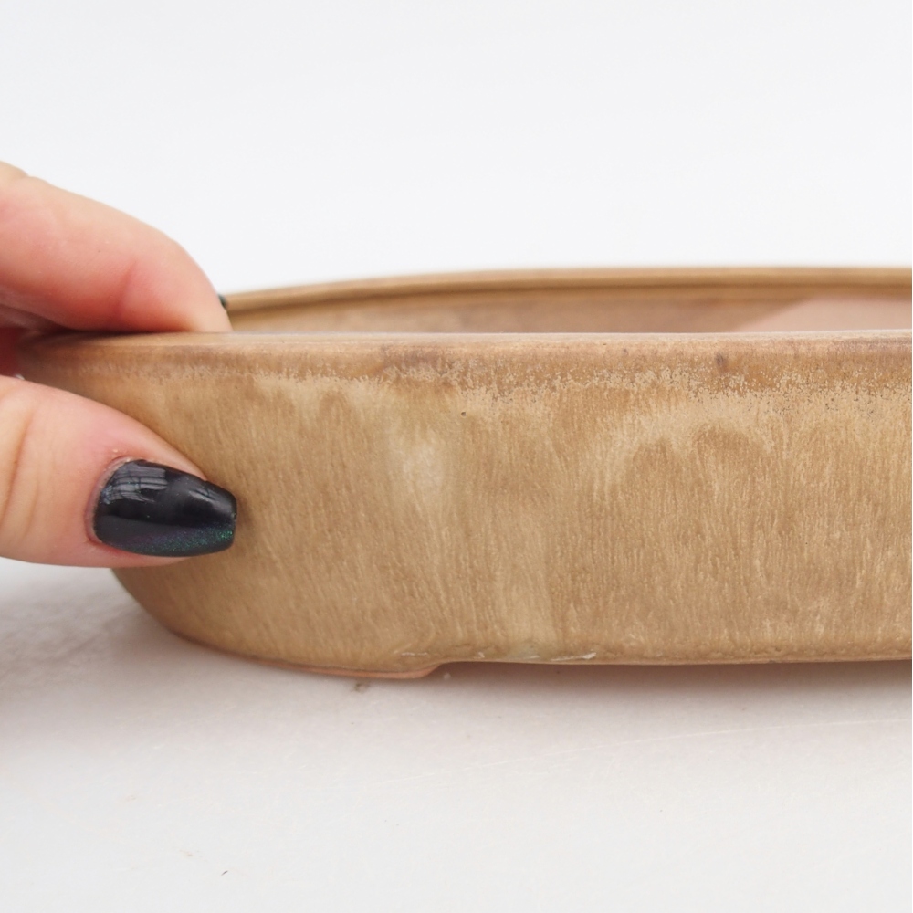 Ceramic bonsai bowl 22,5 x 17 x 4,5 cm, colour beige