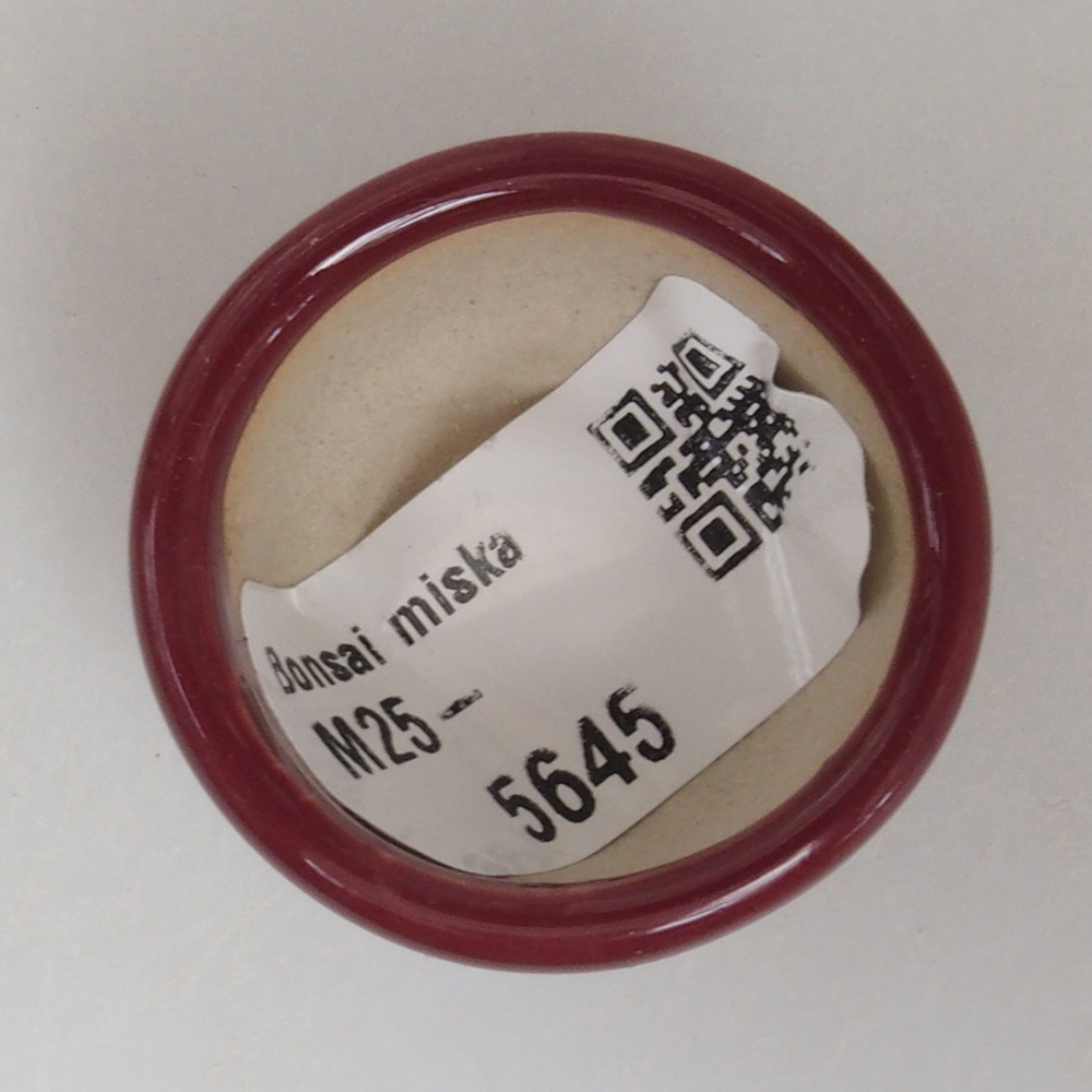 Mini bonsai bowl 3,5 x 3,5 x 2 cm, color burgundy