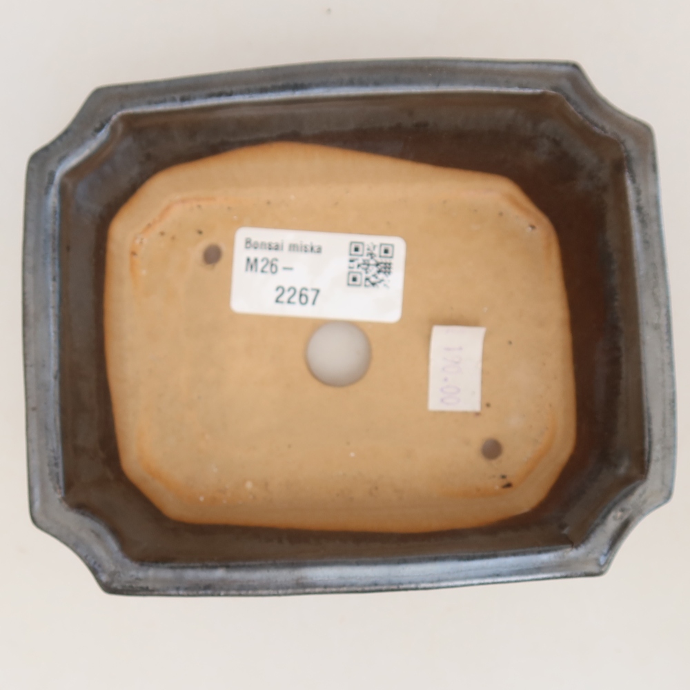 Ceramic bonsai pot, 13.5 x 11 x 4 cm, metallic color