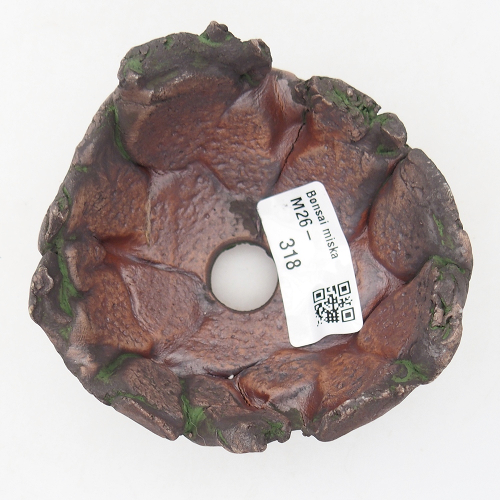 Ceramic Shell 9,5 x 8,5 x 6 cm , colour green