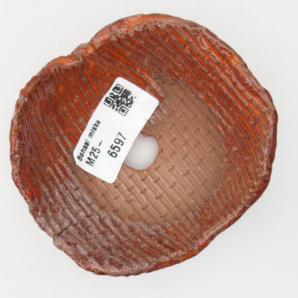 Ceramic shell 9 x 9 x 5 cm , colour orange