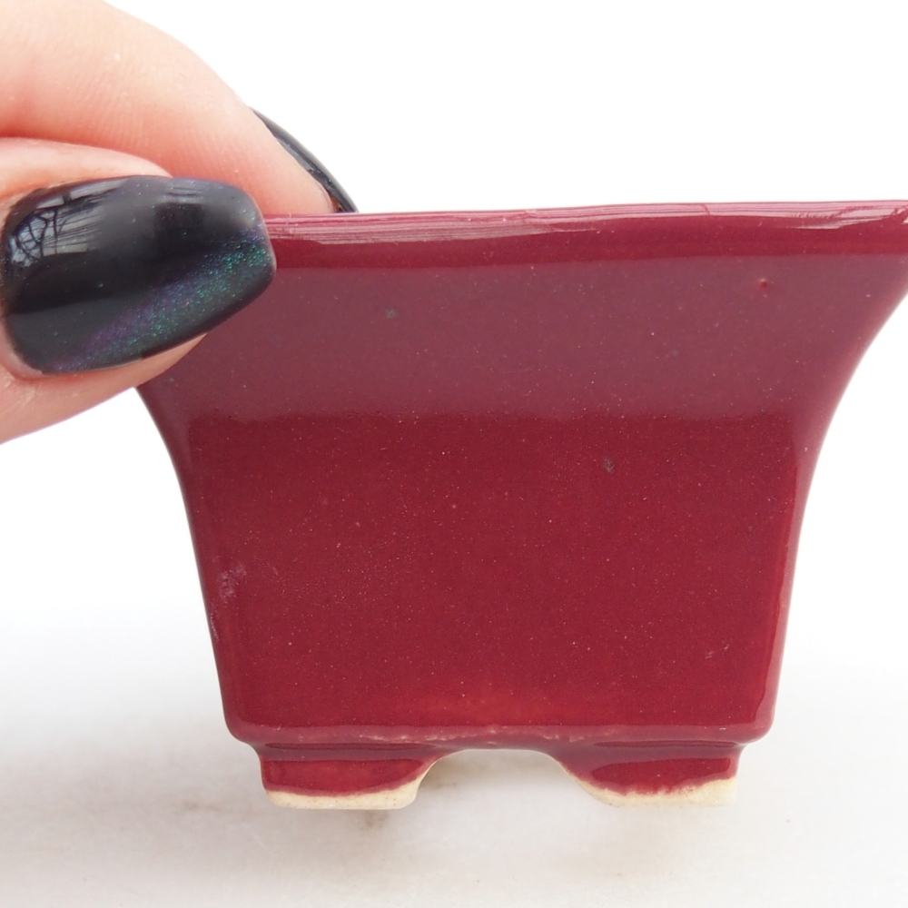 Mini bonsai bowl 5,5 x 5,5 x 4 cm, burgundy