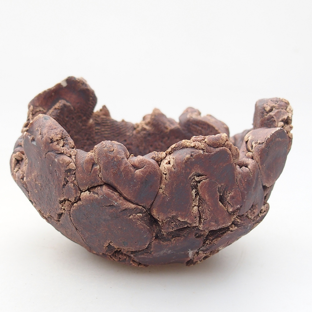 Ceramic Shell 9 x 9 x 6 cm , colour brown