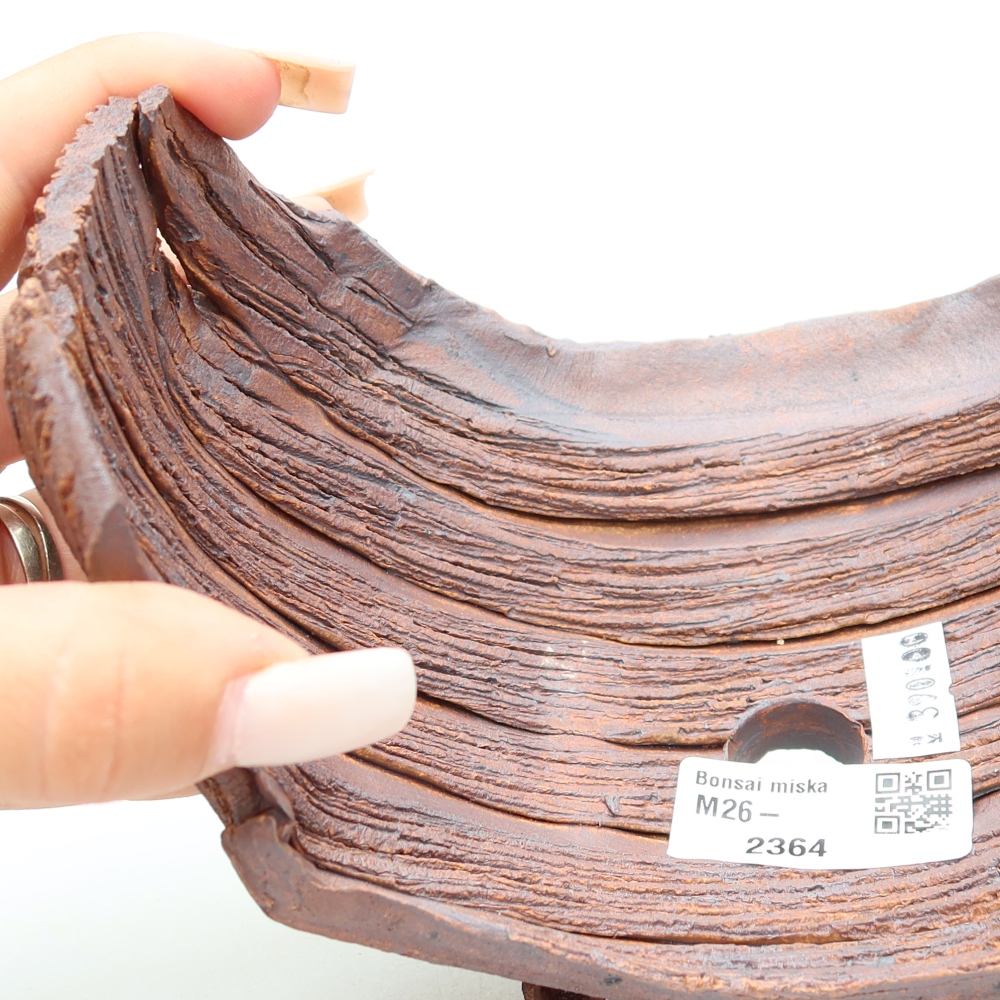 Ceramic Shell  17 x 11.5 x 11.5 cm, brown